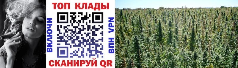 Купить закладку Кокаин  Амфетамин  Alpha-PVP  ГАШИШ  Меф мяу мяу  Бошки Шишки  Медногорск