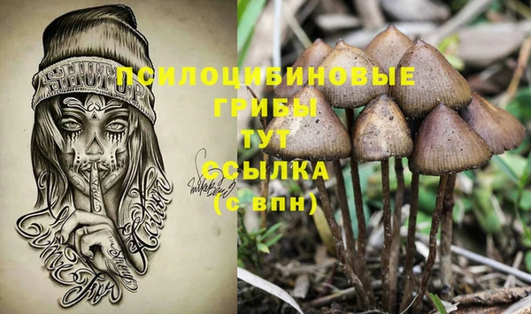 трава Беломорск
